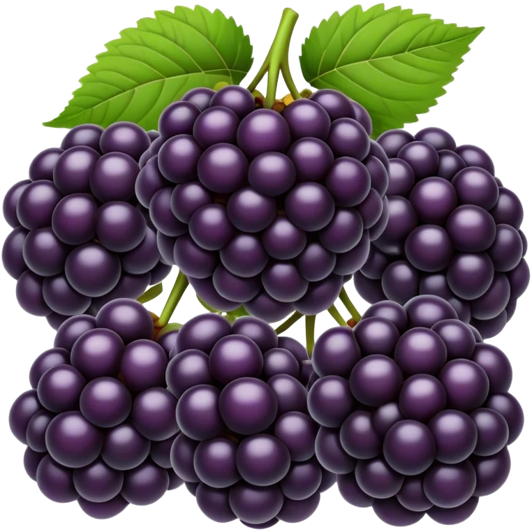 Blackberries  emoji