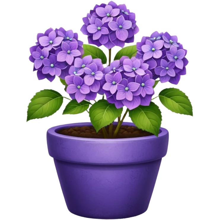 purple hydrangeas flower pot emoji