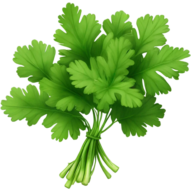 Cilantro  emoji
