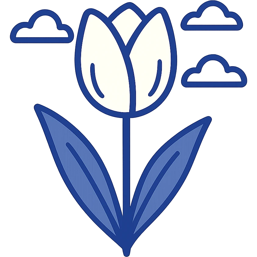 a single white tulip, minimal background, elegant and simple emoji