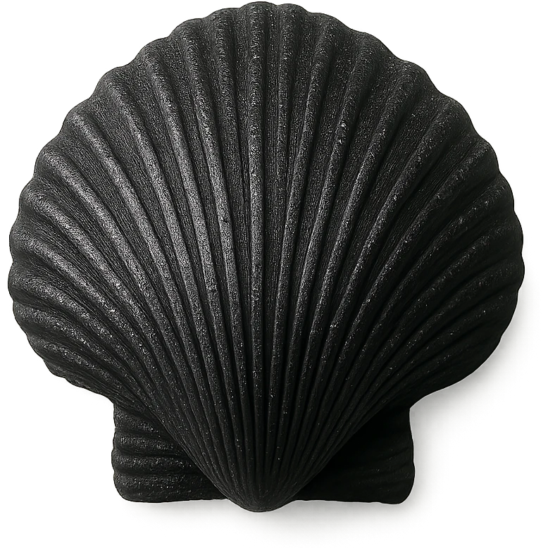 Black seashell, remove background emoji