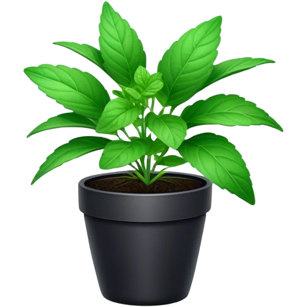 Cinematic Realistic Mint Emoji, Fresh and lively, with deep green leaves covered in tiny veins, emanating a cool, refreshing aroma. The plant’s soft, rounded edges sway gently in the breeze, inviting calm and relaxation. Soft glowing outline, capturing the essence of freshness and cooling fragrance in a fragrant mint plant! emoji