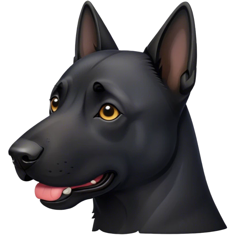 Malinois couleur noir   emoji