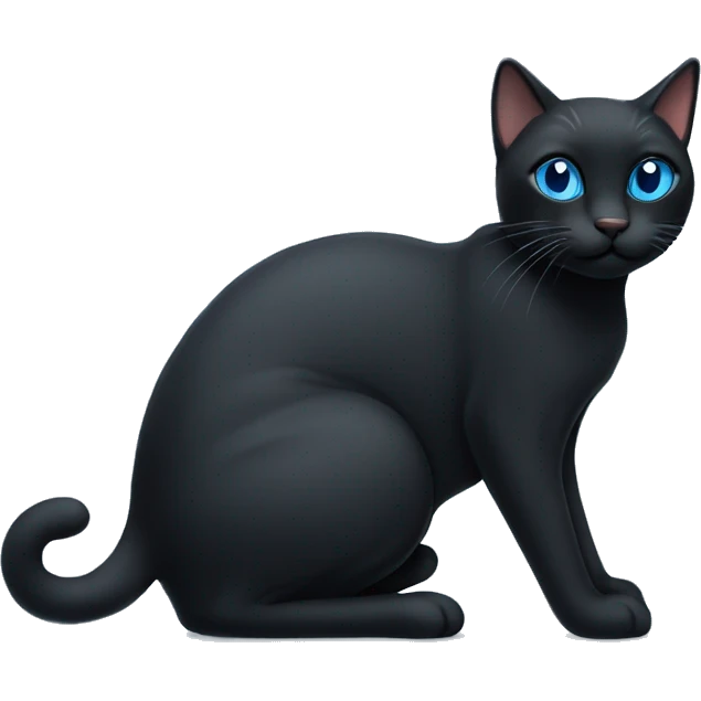Black cat with blue  ིྀ emoji