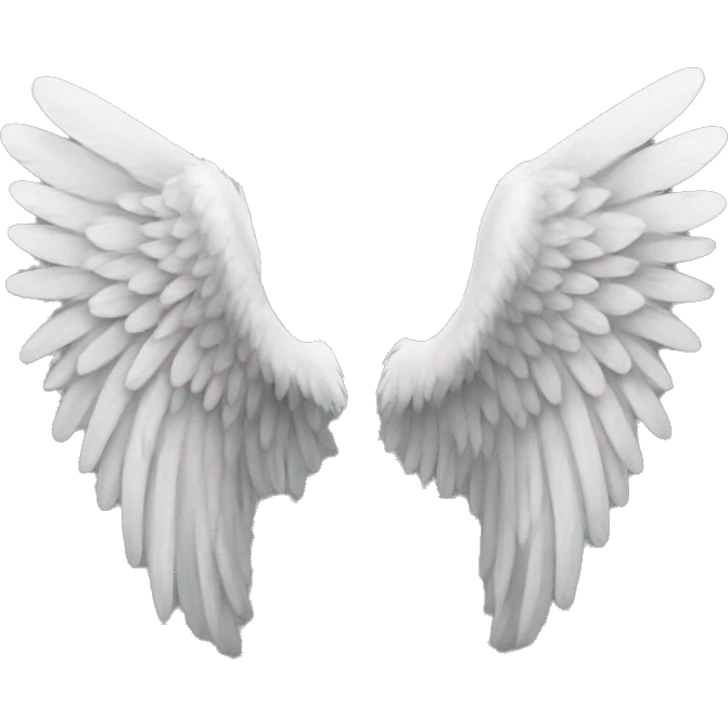 Angel wings  emoji