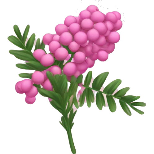 pink mimosa emoji