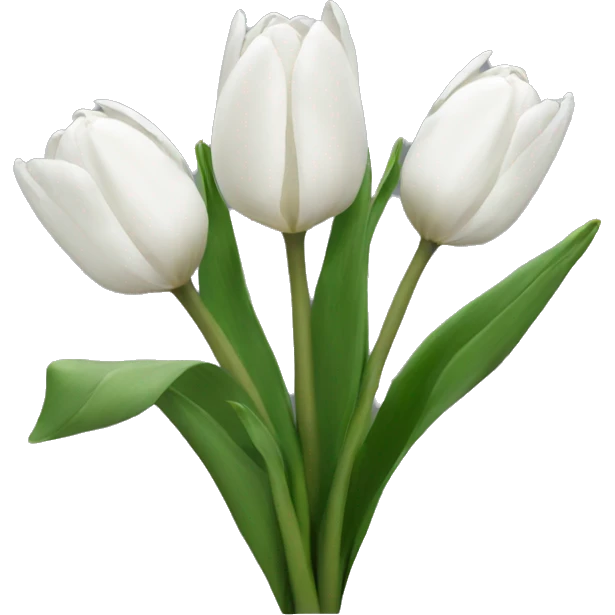 White tulips  emoji