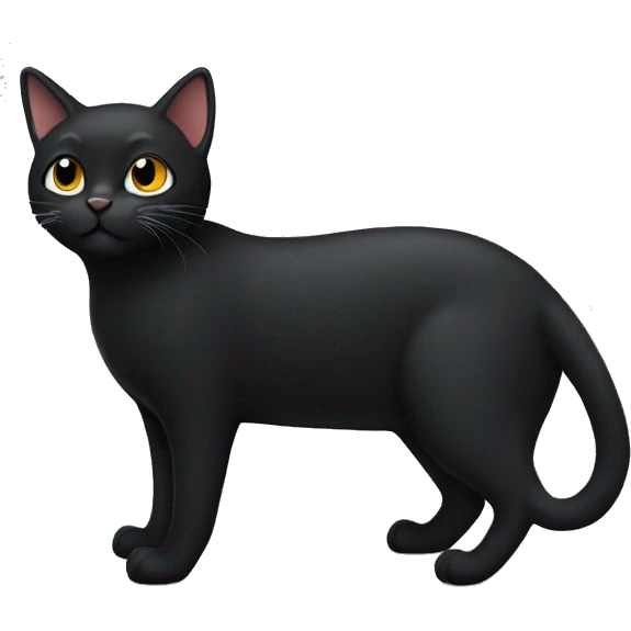 Black cat  emoji