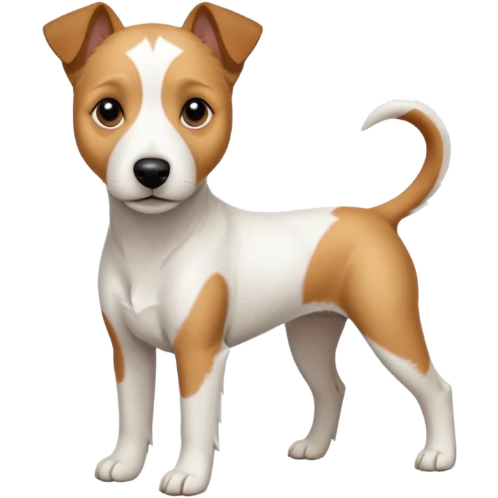 a full body white parson russell looking dog the size of a kelpie with light brown ears and a light brown patch on one eye and a large snout emoji