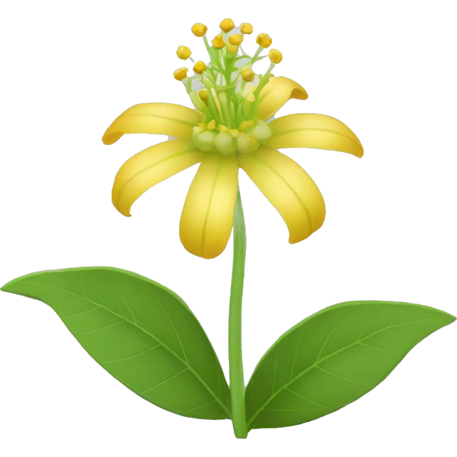Ashwagandha flower with greenish-yellow petals and a central yellow stamens emojis emoji
