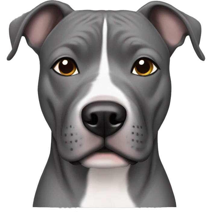 grey staffordshire terrier with grey eyes emoji