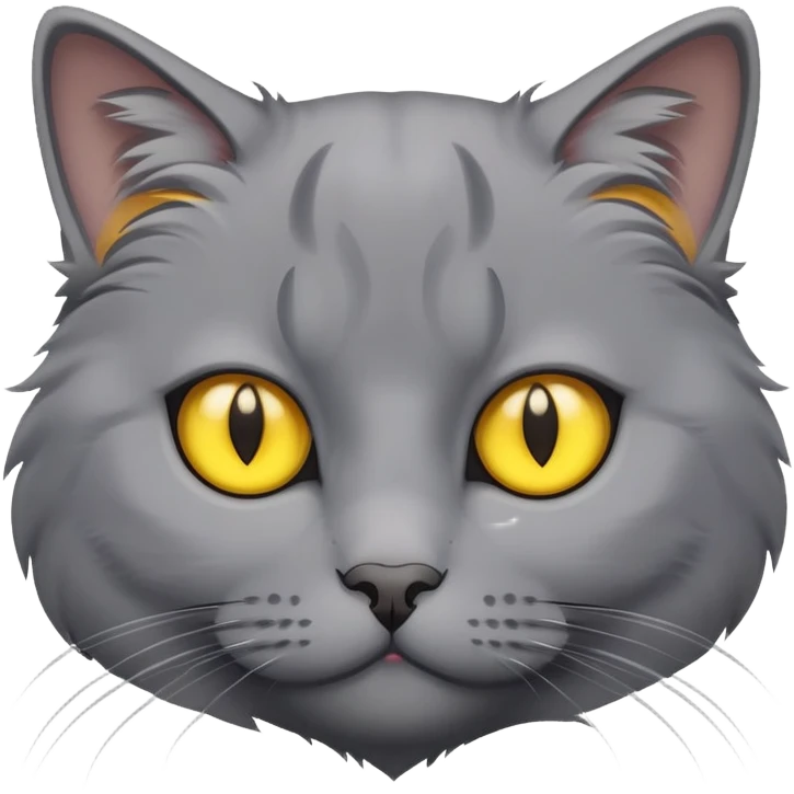 grey cat with yellow eyes emoji
