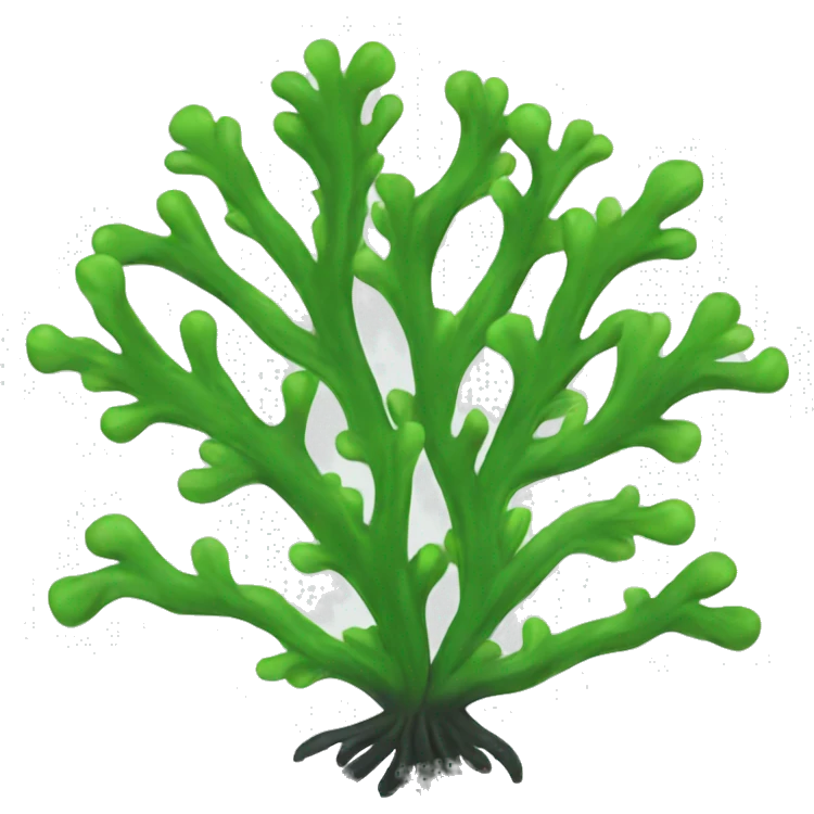 seaweed emoji