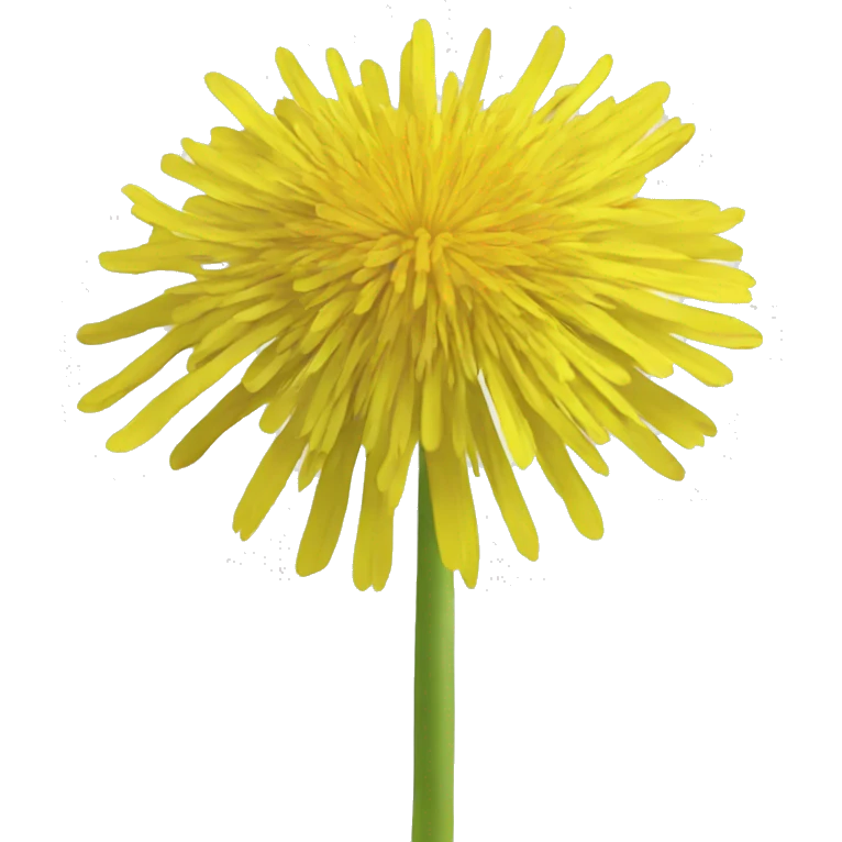 yellow dandelion emoji