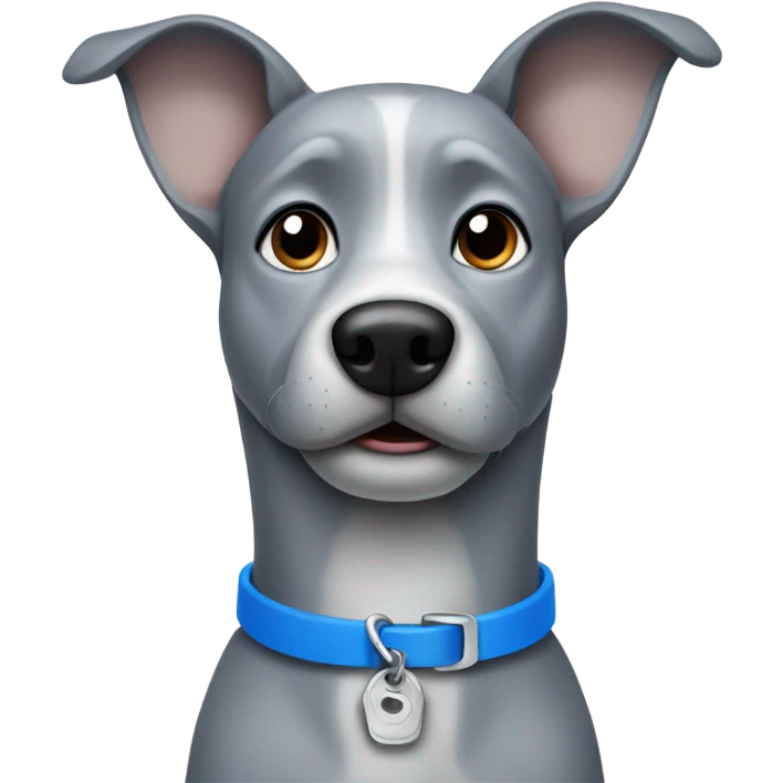 Grey dog with blue collar emoji