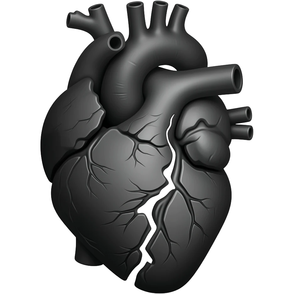 Siyah kırılmış anatomik kalp emoji