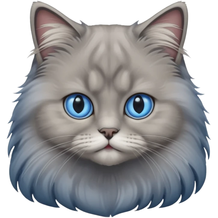 A cat which is a brittish longhair whit is gray color and hes eyes are blue emoji