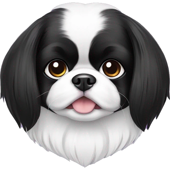 Japanese Chin dog cute black and white with purple collar  emoji