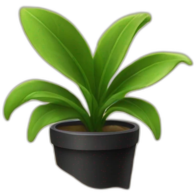 Plants black with sand emoji