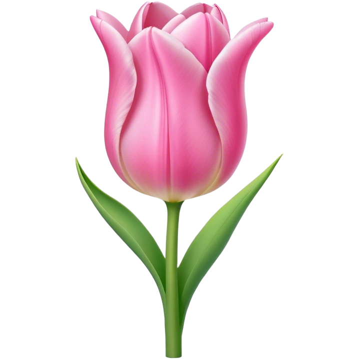 a light pink tulip emoji