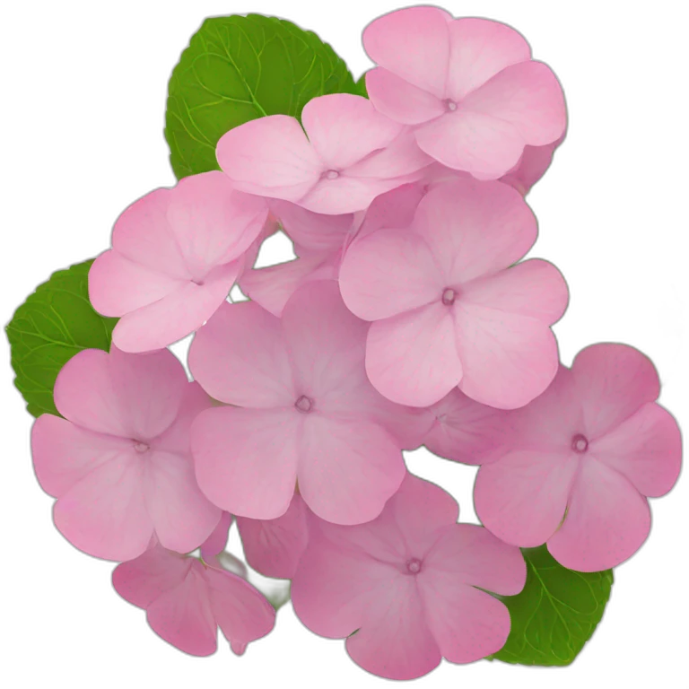 Hortensia Celeste flower emoji