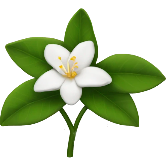Jasmine flower  emoji