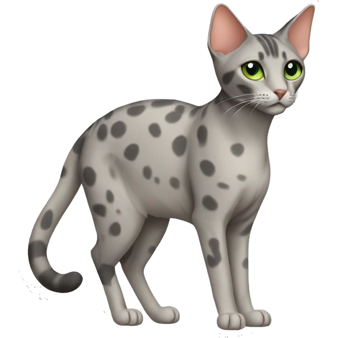 Short-haired oriental cat ,full body , grey coat with spots , green eyes , terracotta nuzzle emoji