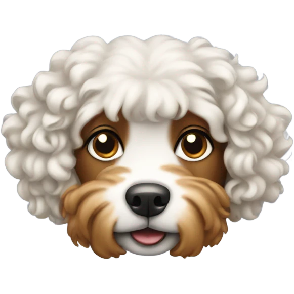 Dog with curly hair  emoji