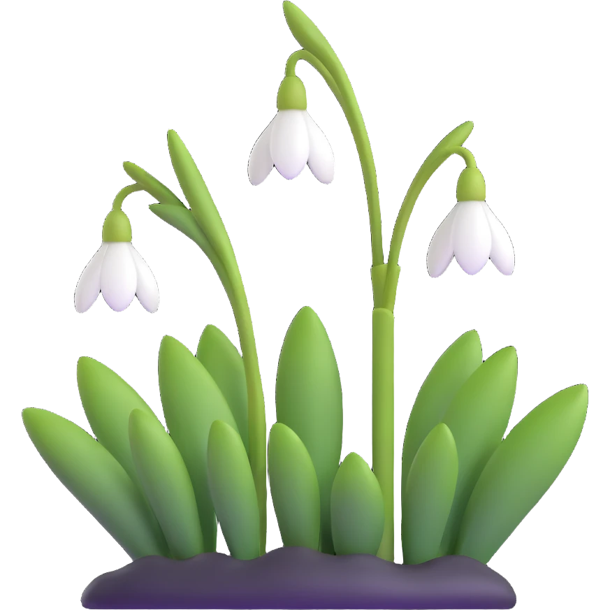 snowdrop flower emoji