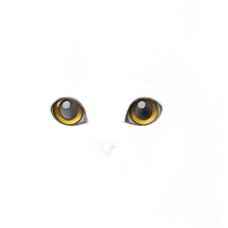 persian white cat emoji