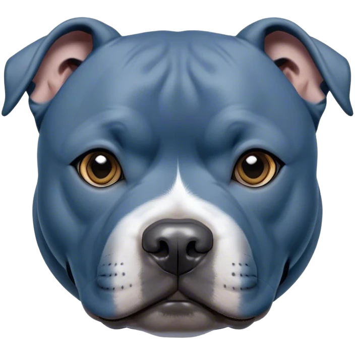 Cinematic Noble Blue Staffordshire Bull Terrier Portrait Emoji, Poised and regal, with a compact, muscular build and a sleek, well-groomed blue Fur, deep-set soulful dark eyes, Simplified yet sharp and sophisticated features, highly detailed, glowing with a soft, dignified glow, high shine, intelligent and loyal, stylized with an air of strength, focused and attentive, soft glowing outline, capturing the essence of a watchful and confident guardian, so majestic it feels as though it could stride out of the screen with effortless authority! emoji