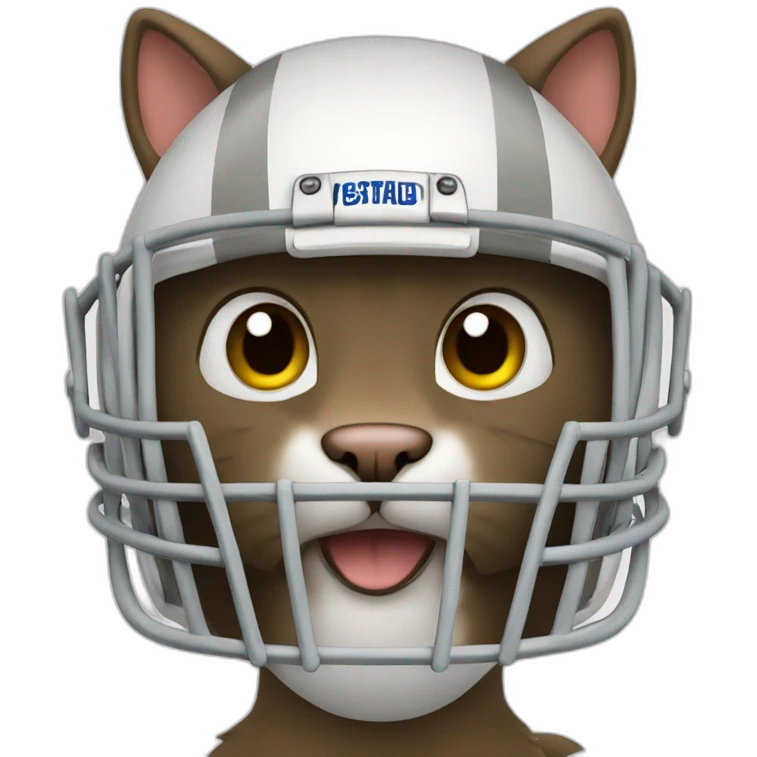 cat football emoji