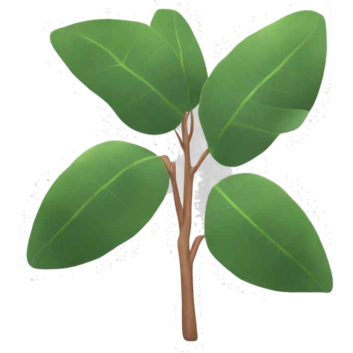eucalyptus  emoji