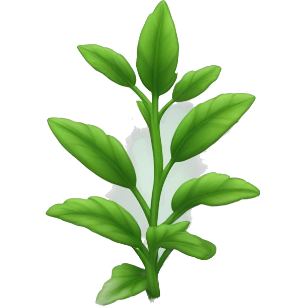  a plant with a thin, slightly hairy green stem. The leaves are oval, pointed, slightly serrated, and dark green in color. They are arranged in opposite pairs along the stem. emoji