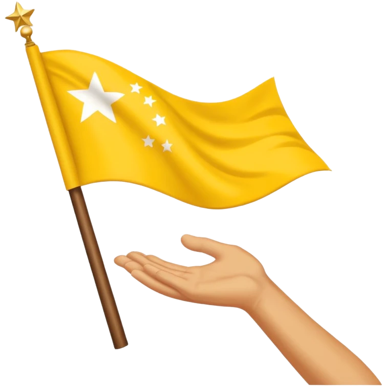 Chinar flag it has 80,000 stars and a hand emoji