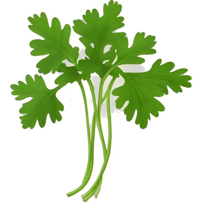 coriander emoji