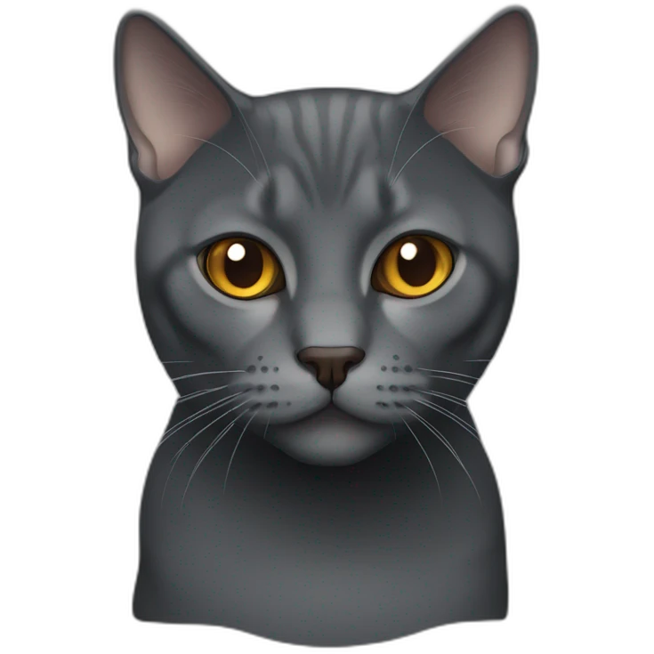 dark grey brittish shorthair cat with caramel eyes emoji
