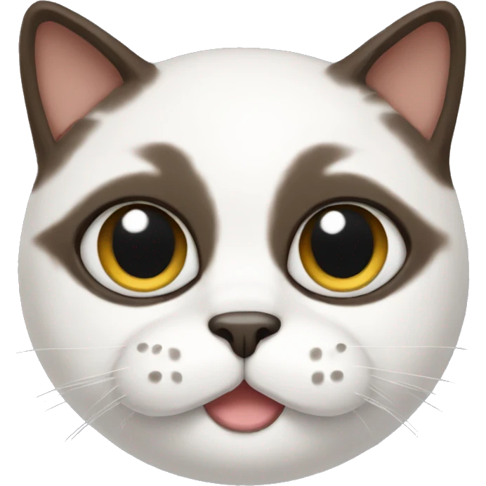 Snowshoe cat with mustache  emoji
