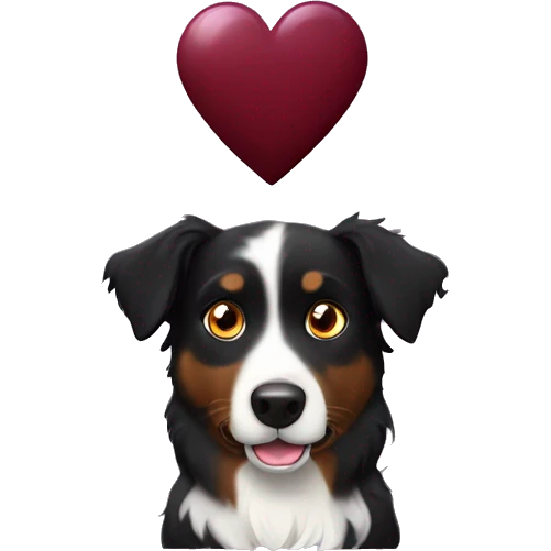 Small black australian shepherd dog with huge maroon heart emoji