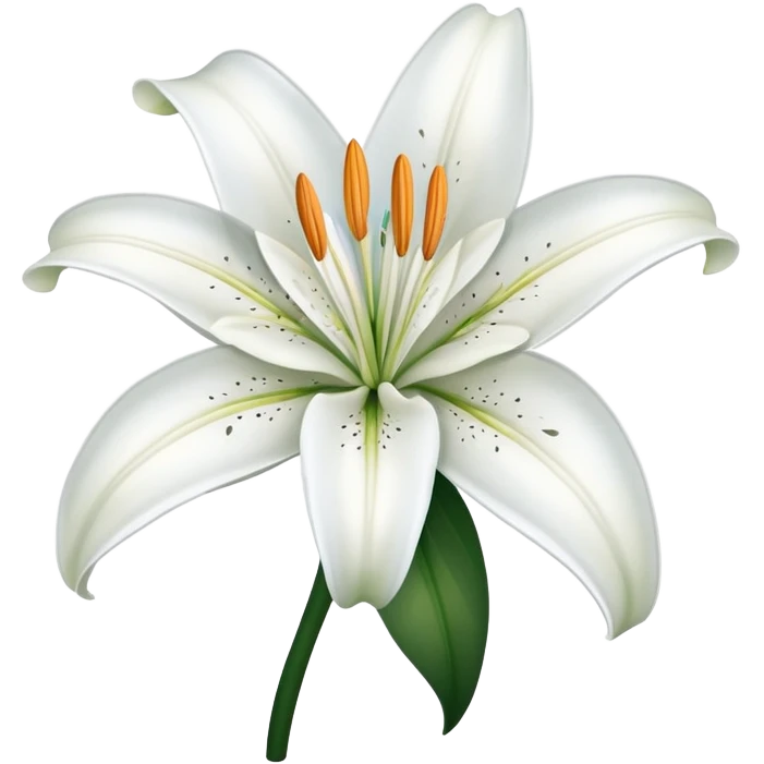 elegant white lily flower with six petals emoji