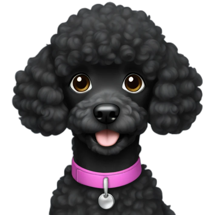 A single Energetic dark black mini poodle with short hair emoji