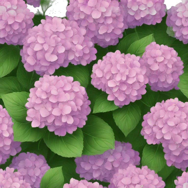 Hydrangea  emoji