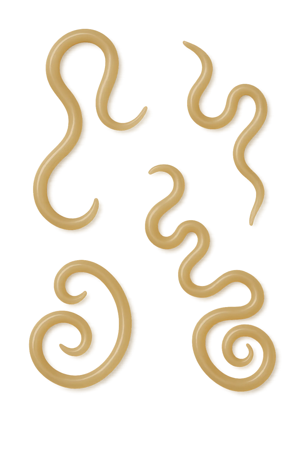 tenia intestinali senza sfondo emoji