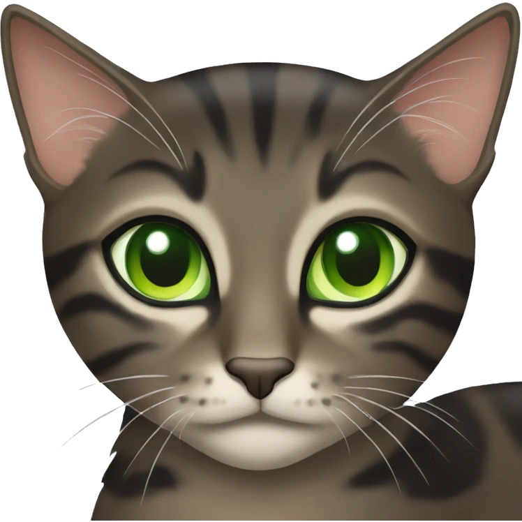 Dark Brown and black tabby cat with green eyes emoji