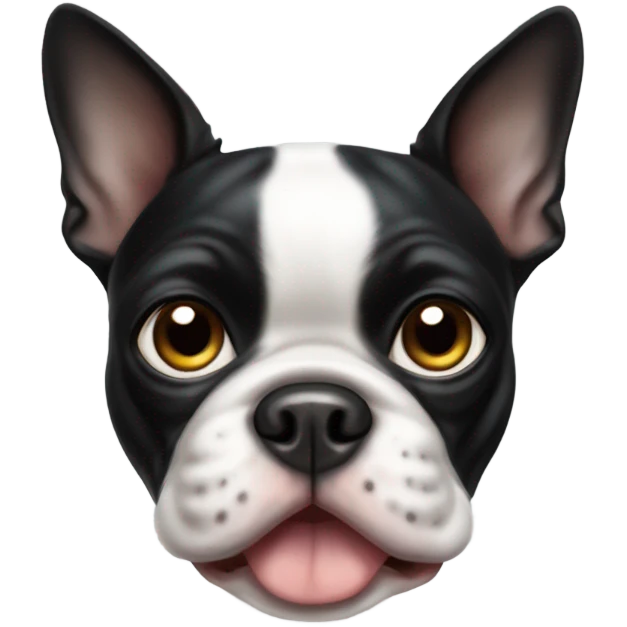 Boston terrier emoji