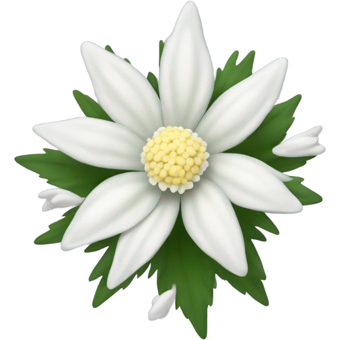 Edelweiss flower emoji