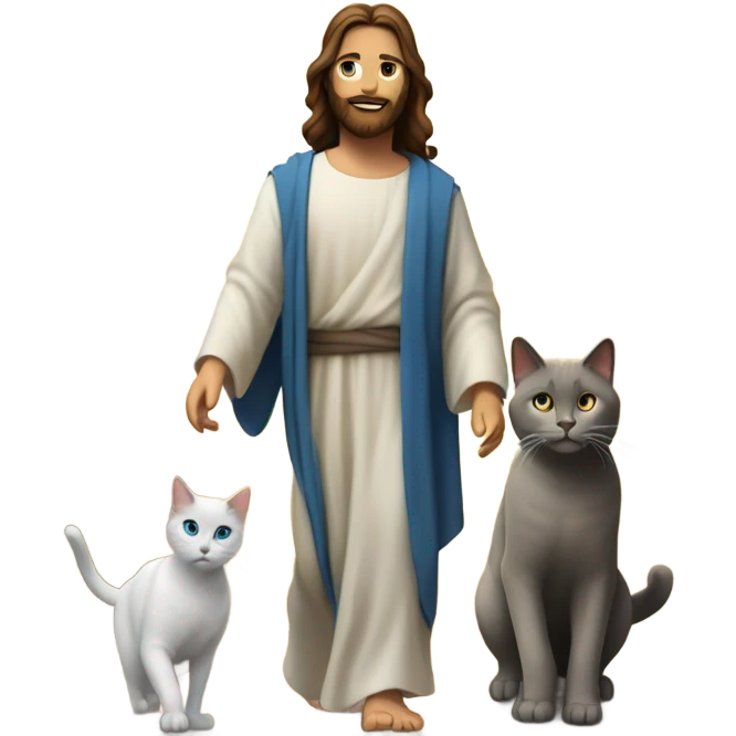 jesus and girl with brown hair blue eyes and grey cat walking into the sunset emoji