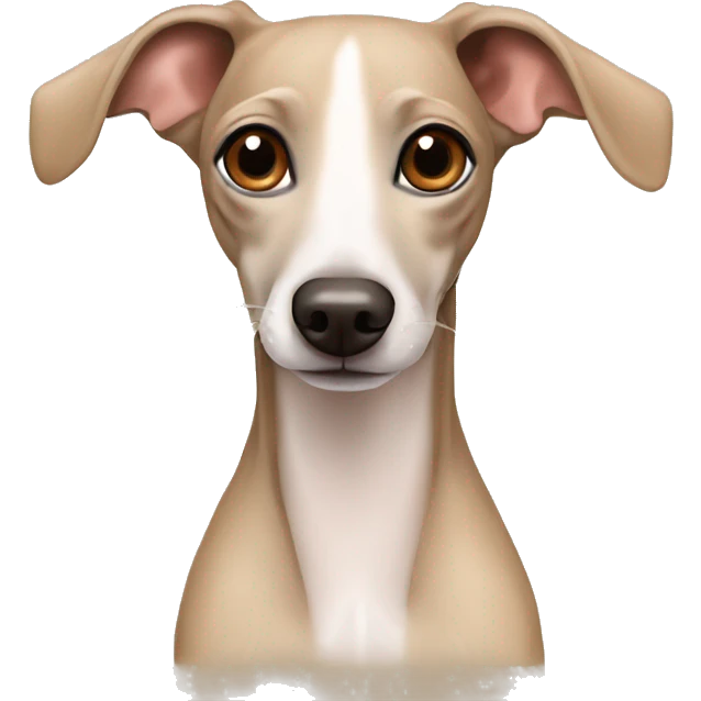 Cute dog Italian greyhound beige color emoji