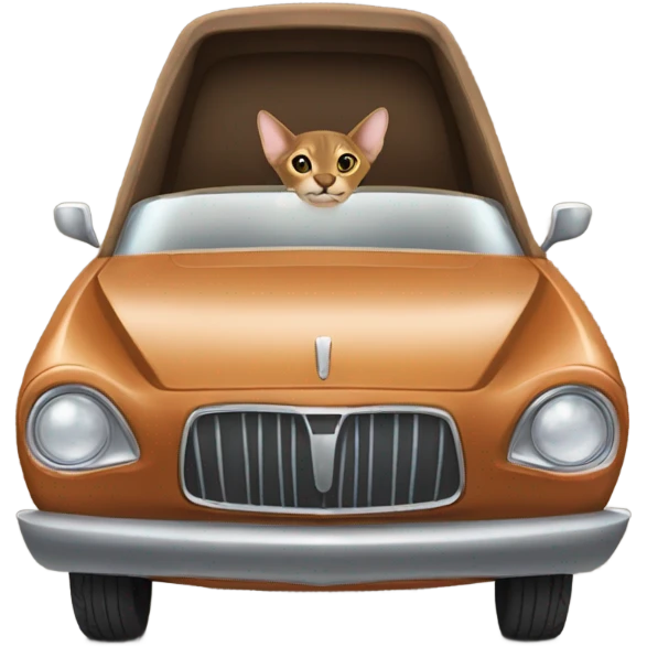 abyssinian car emoji