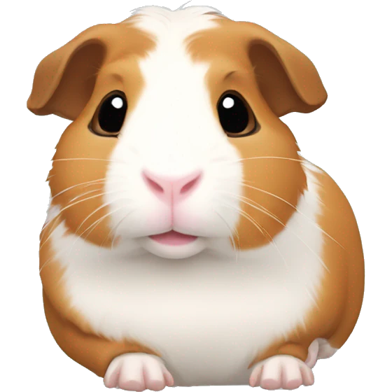 Guineapig laying down very cute emoji